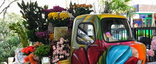 1523965866_IMG_6159.JPG