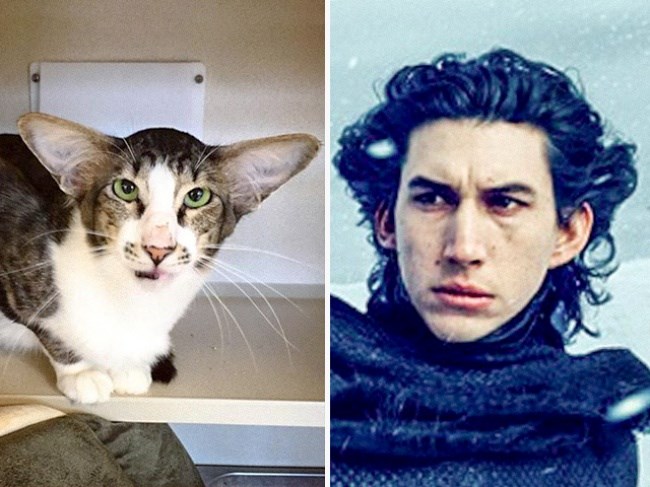 ADAM DRIVER