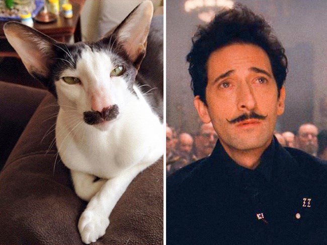 ADRIEN BRODY