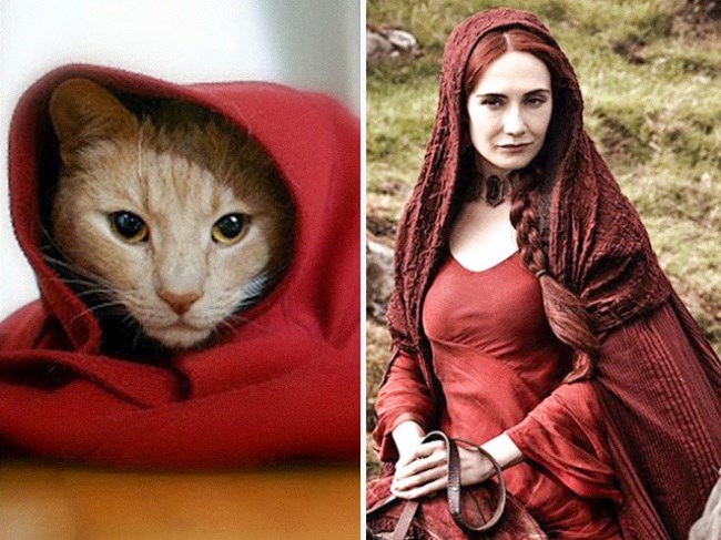 CARICE VAN HOUTEN