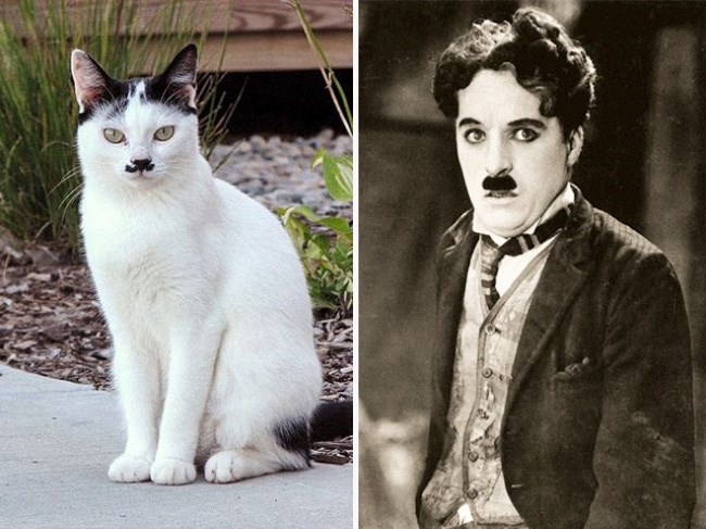 CHARLIE CHAPLIN