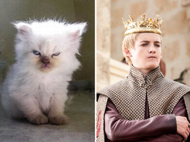 JACK GLEESON