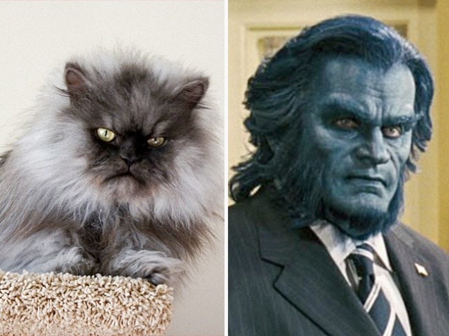 KELSEY GRAMMER
