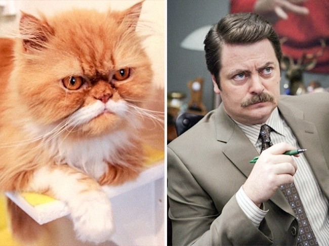 NICK OFFERMAN