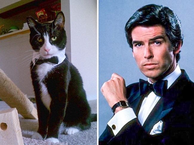 PIERCE BROSNAN