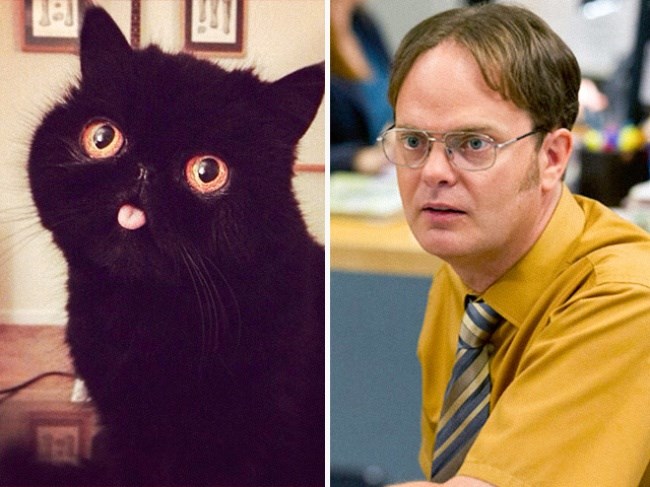 RAINN WILSON