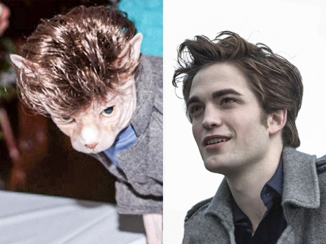 ROBERT PATTINSON