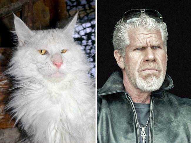 RON PERLMAN