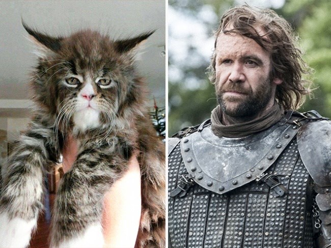 RORY MCCANN