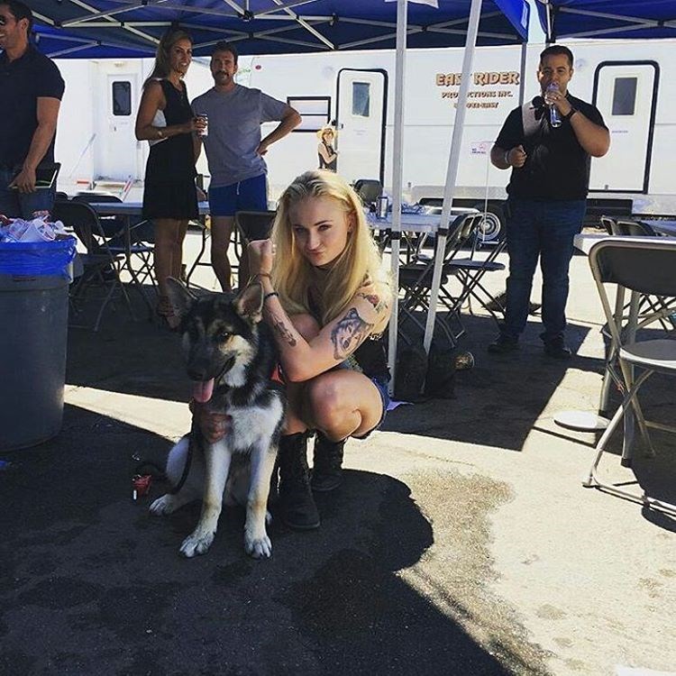 Game of Thrones 8.sezon, Game of Thrones, Game of Thrones final, Sansa Stark, Film, sinema, sophie turner