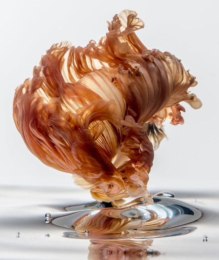 BALIKLARI BELKİ DE DAHA ÖNCE HİÇ BÖYLE GÖRMEDİNİZ