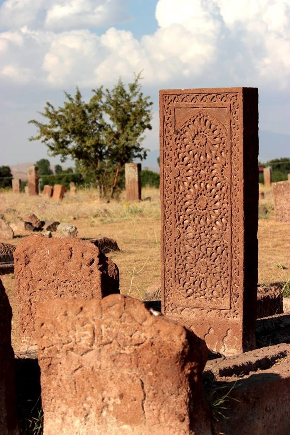 Dünyanın en büyük Türk- İslam mezarlığı olarak bilinen Selçuklu meydan mezarlığı ve tarihi eserleriyle ön plana çıkan Bitlis'in Ahlat ilçesi ziyaretçilerini tarihte bir yolculuğa çıkarıyor.
