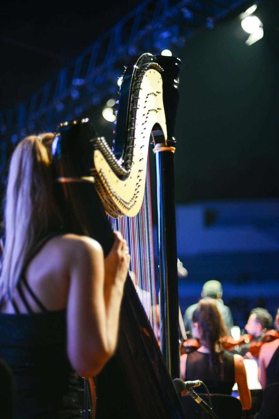 BİR ŞARKI DA SEZEN'DEN...