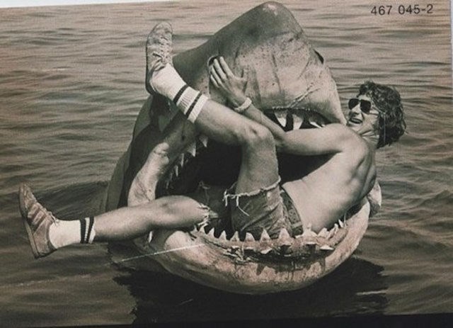 Jaws