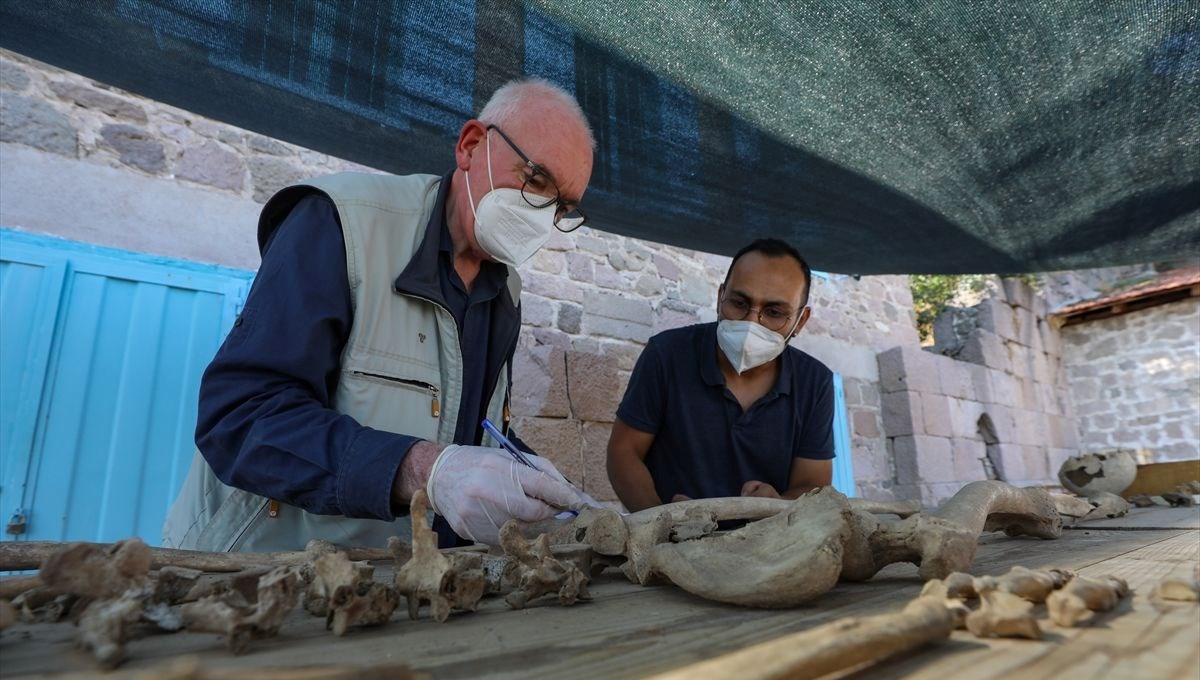 Pergamon'da yaşayanlar karbonhidrat ağırlıklı beslenmiş