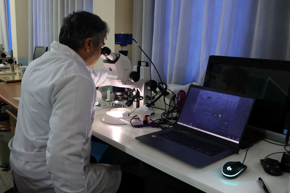 Bilimsel olarak kanıtlandı: Sadece Türkiye'de var - 4