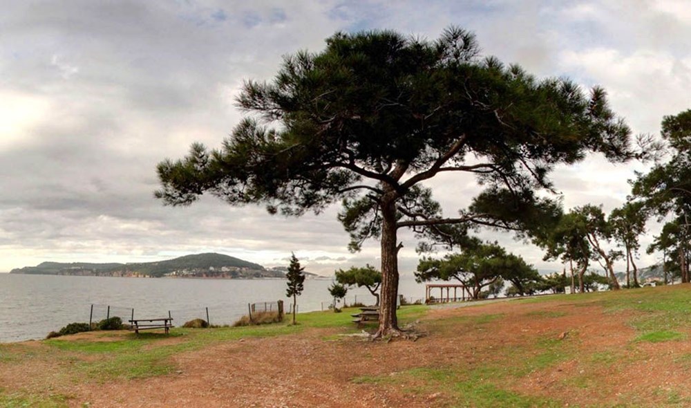 İstanbul'un Tabiat Parkları (İstanbul'daki tabiat parklarının listesi ve isimleri) - 8 İstanbul'un Tabiat Parkları (İstanbul'daki tabiat parklarının listesi ve isimleri) - 8