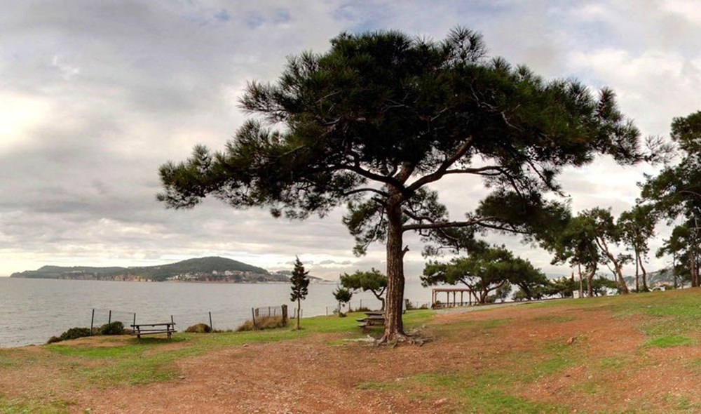 İstanbul'un Tabiat Parkları (İstanbul'daki tabiat parklarının listesi ve isimleri) - 8