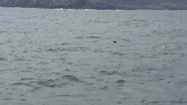 BOĞAZ'DA MAYIN 6 sc