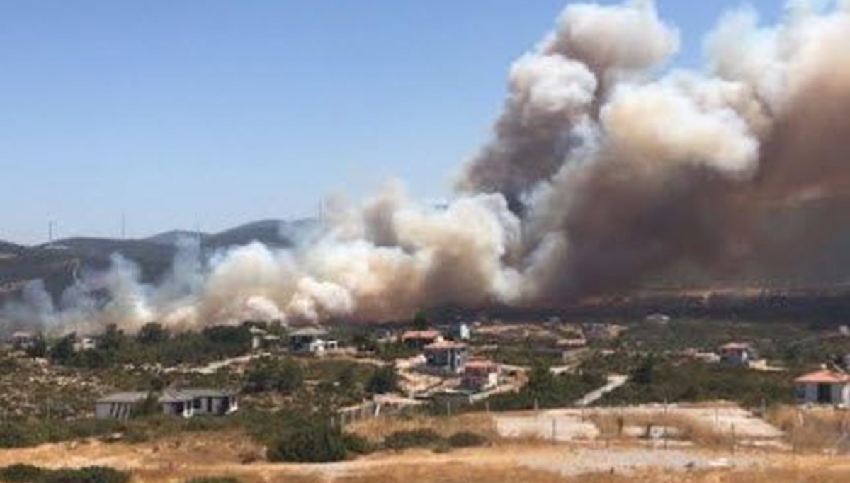 Aydın'daki maki yangınını çıkaran 3 şüpheli tutuklandı Aydın'daki maki yangınını çıkaran 3 şüpheli tutuklandı