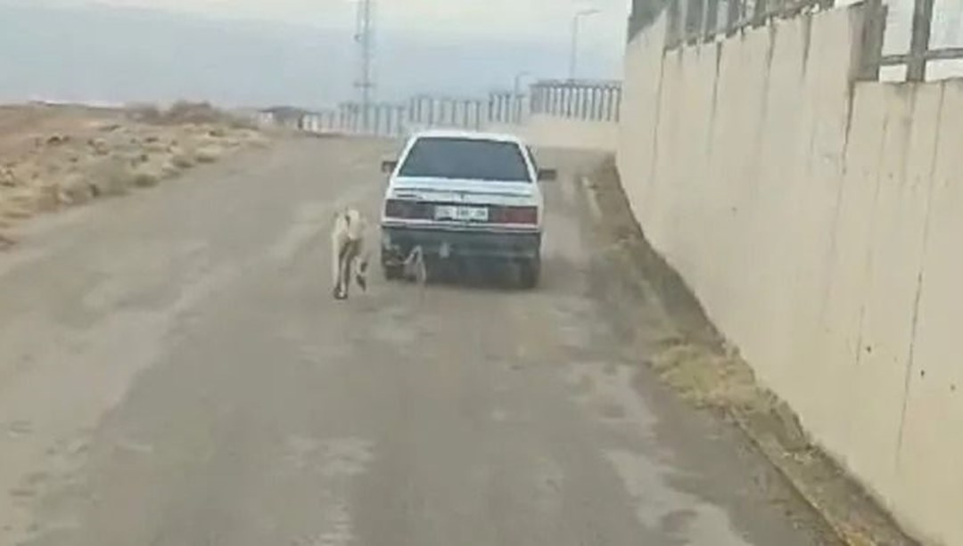 Köpeği aracına bağlayıp sürükledi