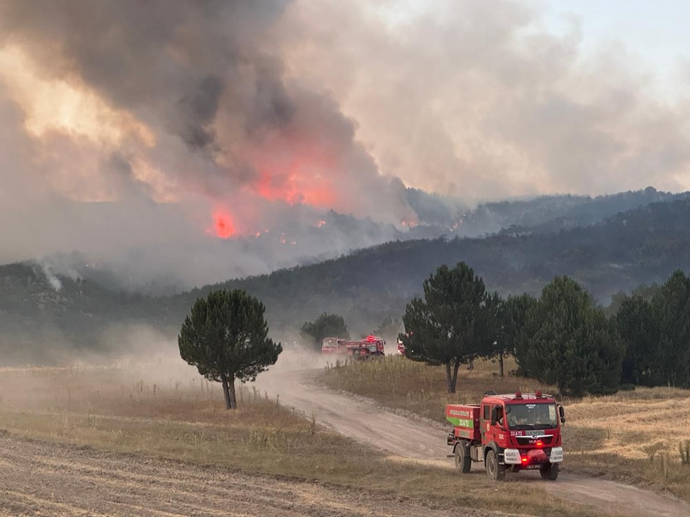 Altı noktada orman yangınları sürüyor: Eskişehir, Sakarya ve Bilecik'te son durum - 2