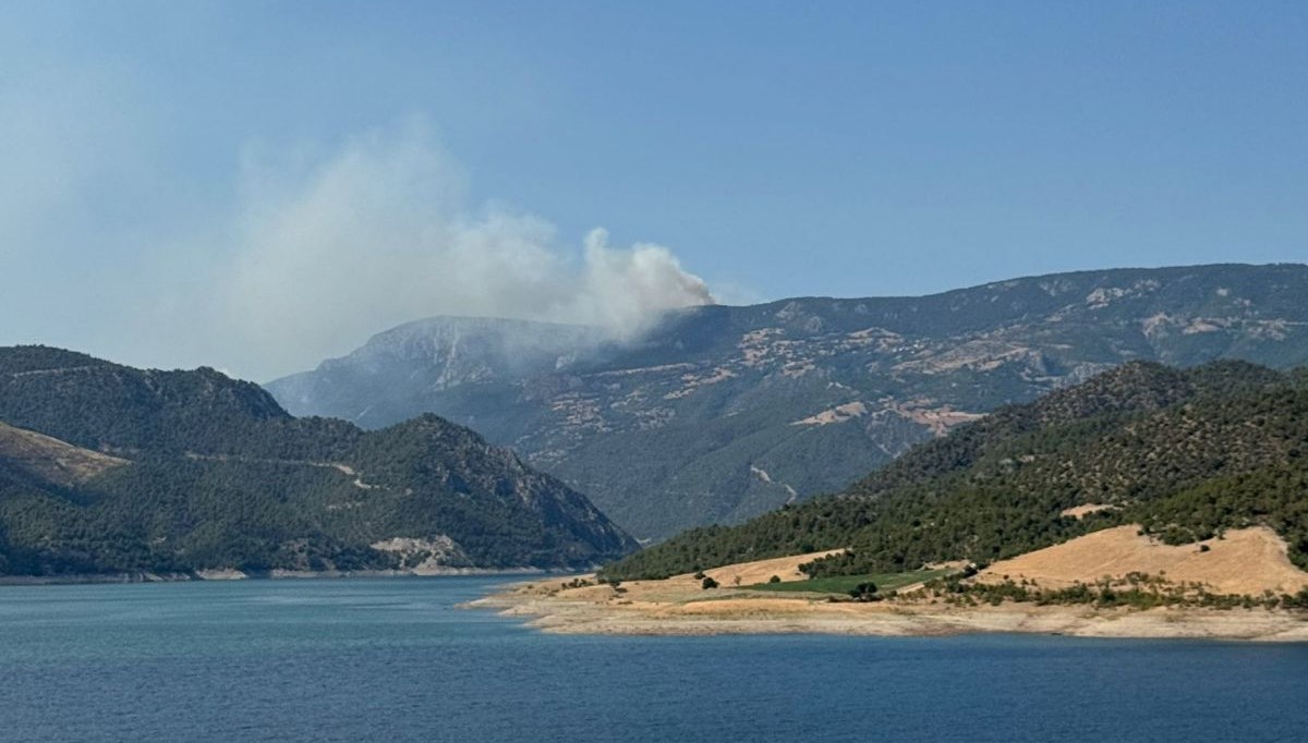 Sinop'ta orman yangını