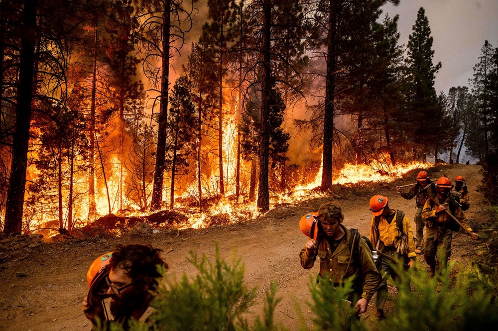 California'da orman yangını: 11 bini aşkın kişi tahliye edildi - 7