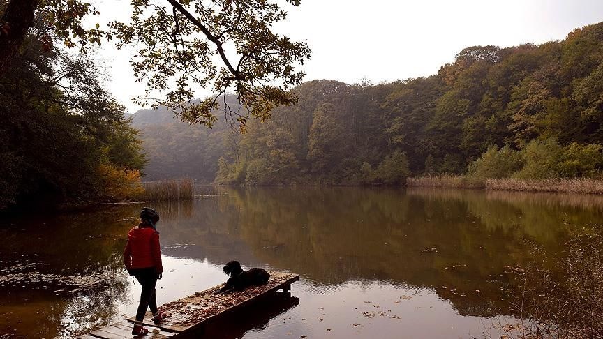 BELGRAD ORMANI