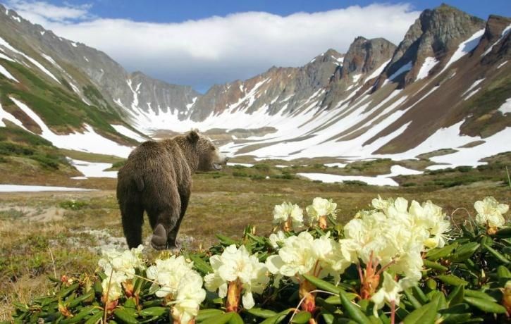 rusya, rusya'da gezilecek en guzel yerler, rusya gezi rehberi, moskova, soçi, rusya rehberi