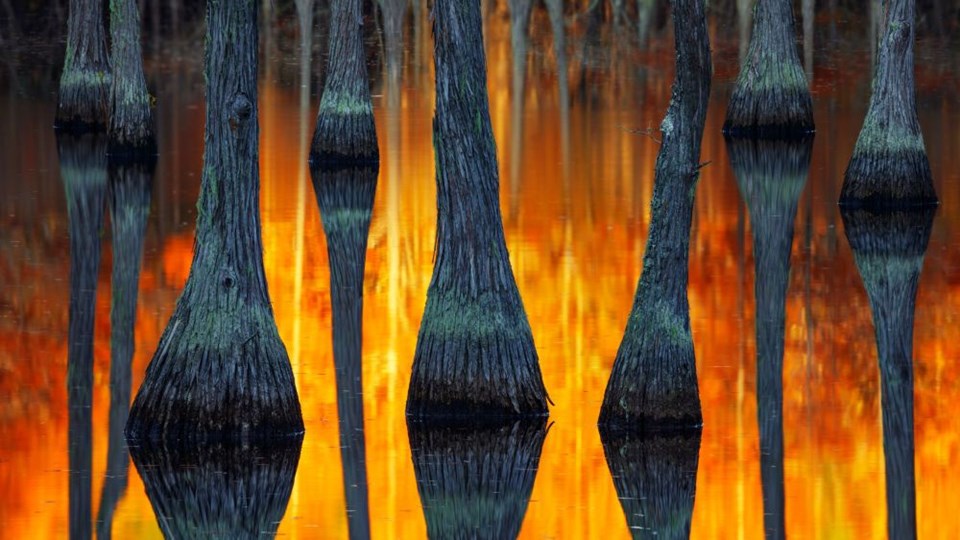 en iyi manzara fotoğrafları, international landscape photographer of the year 2018