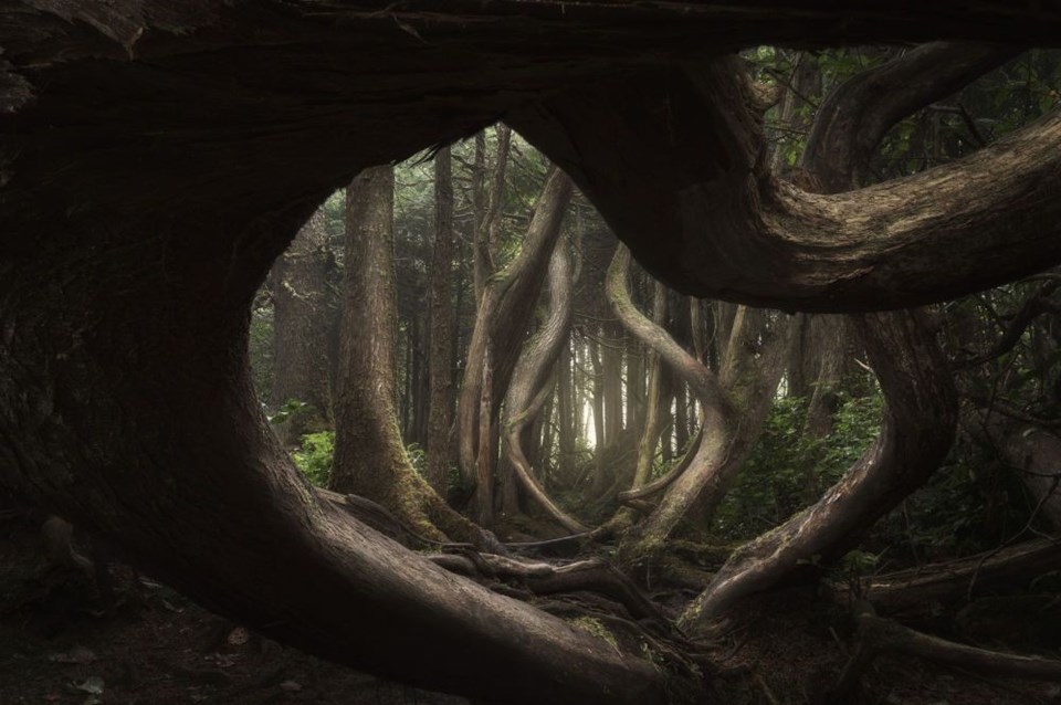 en iyi manzara fotoğrafları, international landscape photographer of the year 2018