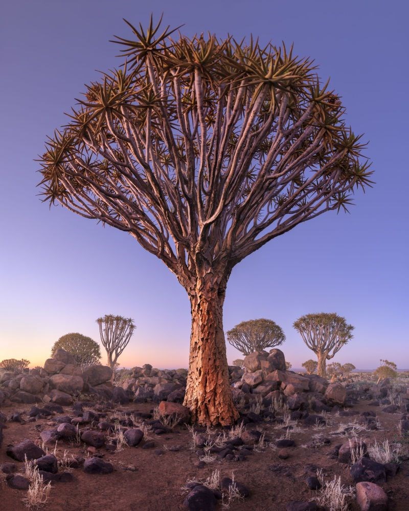 en iyi manzara fotoğrafları, international landscape photographer of the year 2018