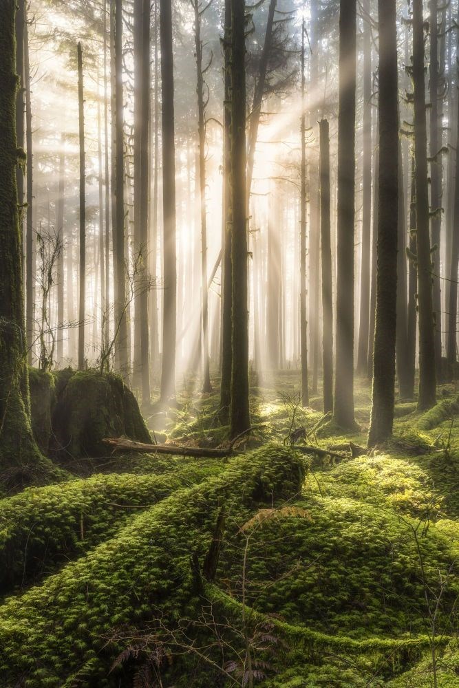 en iyi manzara fotoğrafları, international landscape photographer of the year 2018