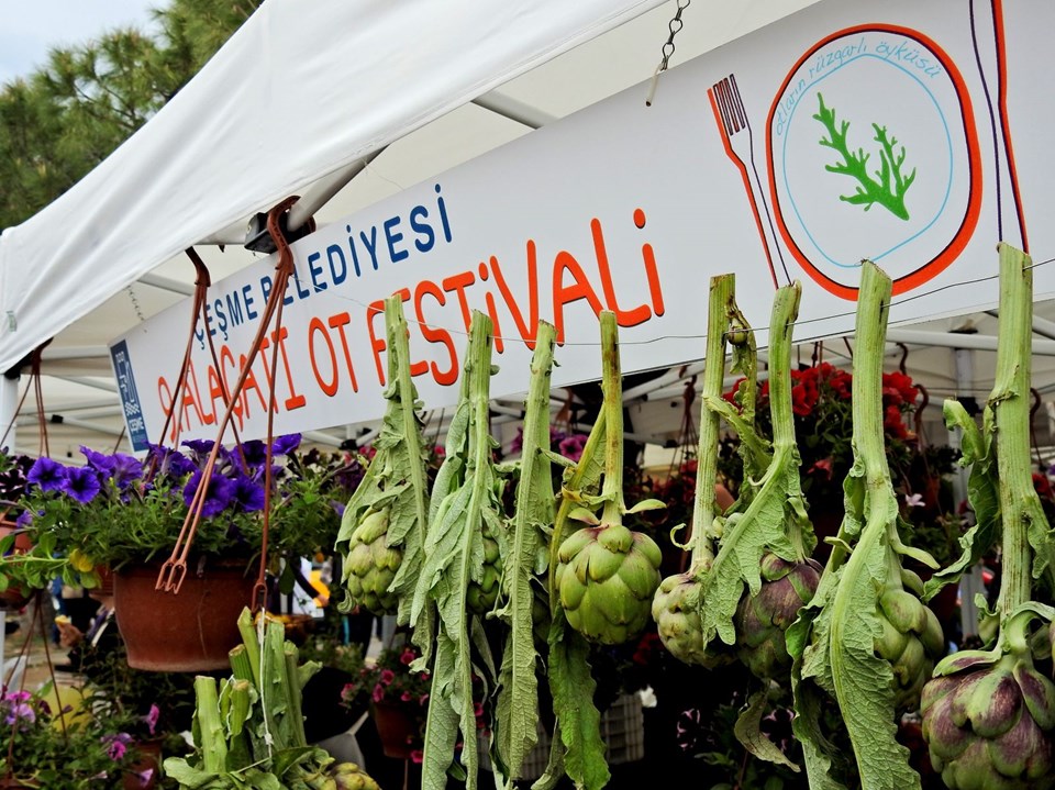 bu-yilin-tema-bitkisi-pazi,vJfYTcyt1kiYp...3104153913