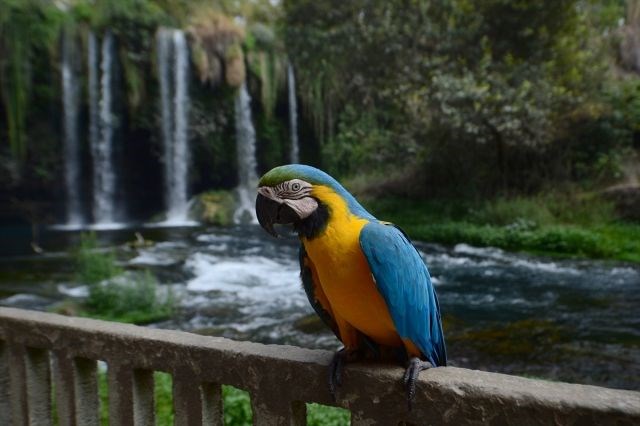 düden şelalesi, antalya, antalya gezilecek yerler, antalya düden şelalesi