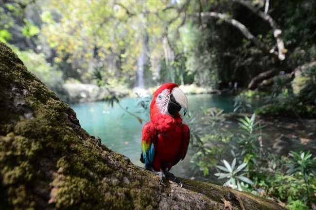 kurşunlu şelalesi, antalya gezilecek yerler, antalya şelaleler, kurşunlu şelalesi tabiat parkı