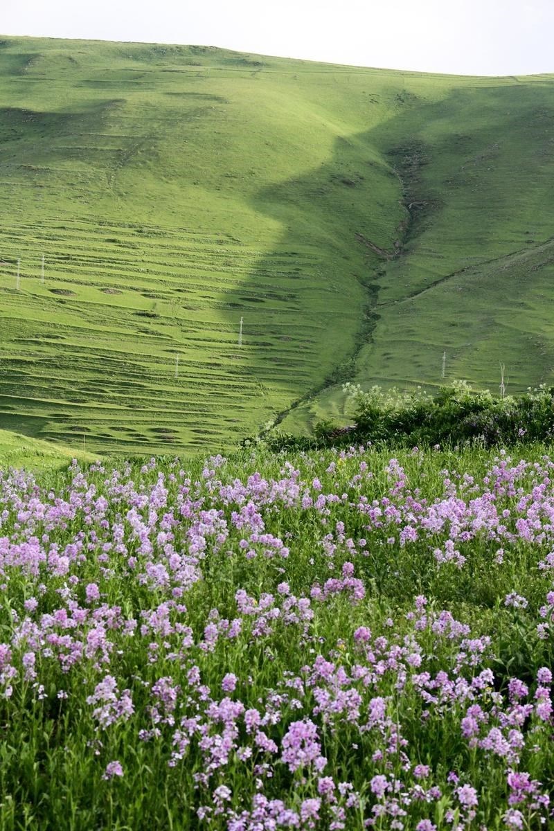 "ŞENLİKLER DÜZENLENECEK"