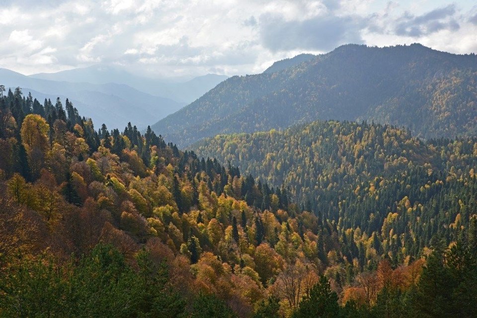 yedigöller milli parkı, sonbahar, Gölcük Tabiat Parkı, doğa, Bolu, bolu gezilecek yerler