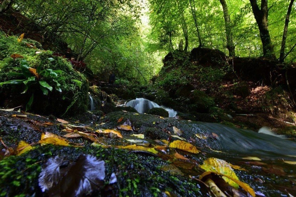 yedigöller milli parkı, sonbahar, Gölcük Tabiat Parkı, doğa, Bolu, bolu gezilecek yerler