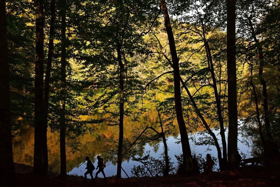 yedigöller milli parkı, sonbahar, Gölcük Tabiat Parkı, doğa, Bolu, bolu gezilecek yerler