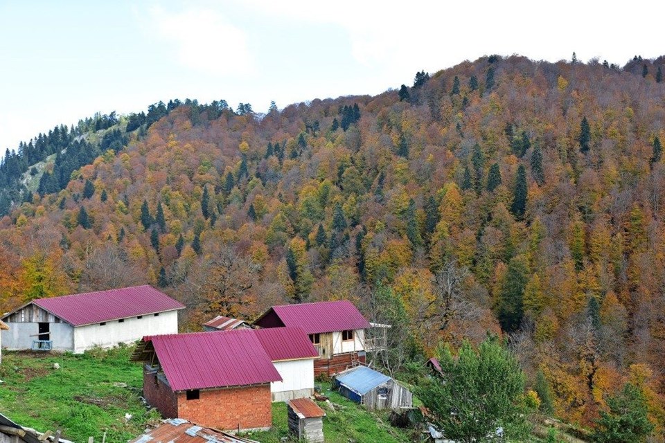 yedigöller milli parkı, sonbahar, Gölcük Tabiat Parkı, doğa, Bolu, bolu gezilecek yerler