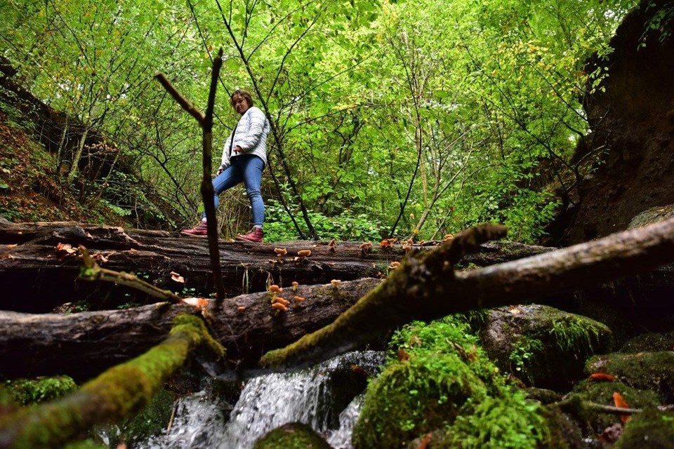 yedigöller milli parkı, sonbahar, Gölcük Tabiat Parkı, doğa, Bolu, bolu gezilecek yerler