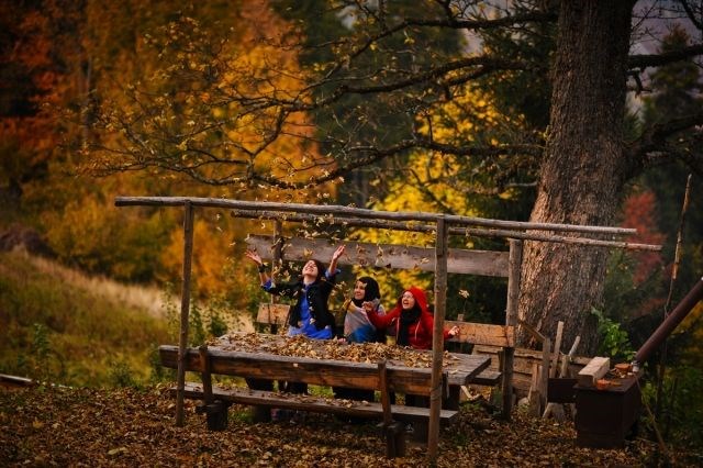 yürüyüş yolu, vilsonovo, sonbahar, saraybosna, doğa, Bosna Hersek