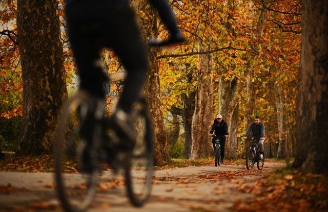 yürüyüş yolu, vilsonovo, sonbahar, saraybosna, doğa, Bosna Hersek