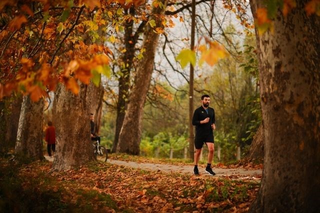 yürüyüş yolu, vilsonovo, sonbahar, saraybosna, doğa, Bosna Hersek