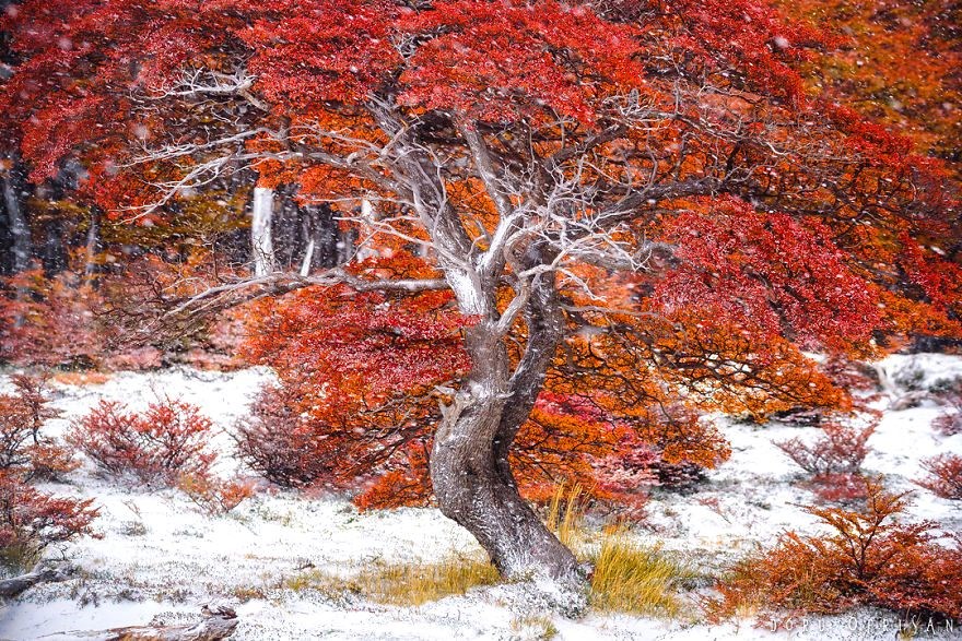 guney amerika gezilecek yerler, patagonya, patagonya fotografları, patagonya gezilecek yerler