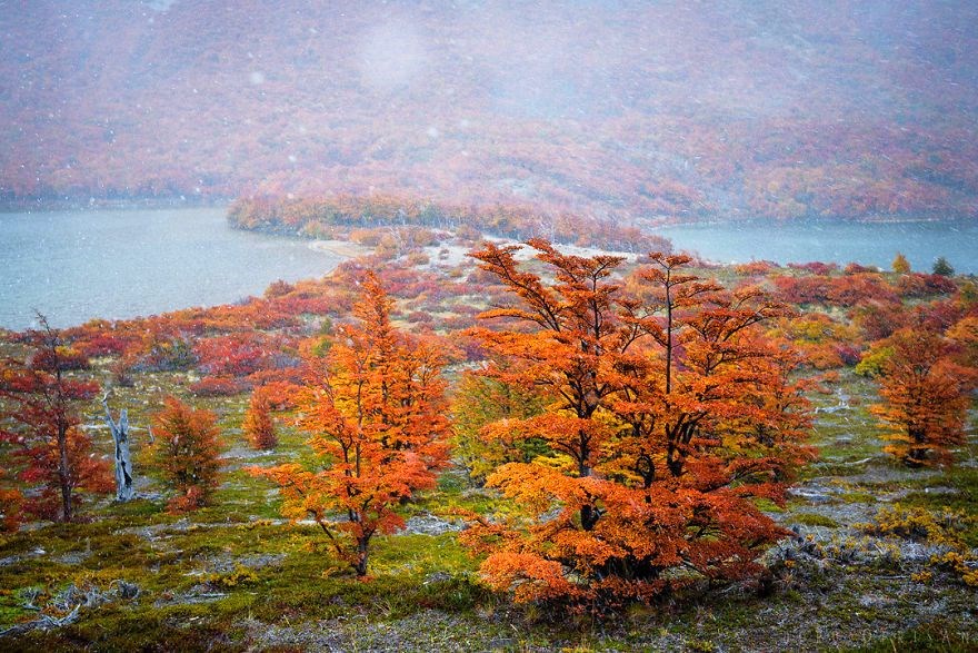 guney amerika gezilecek yerler, patagonya, patagonya fotografları, patagonya gezilecek yerler
