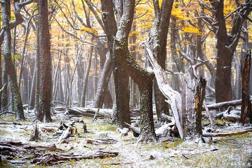 guney amerika gezilecek yerler, patagonya, patagonya fotografları, patagonya gezilecek yerler