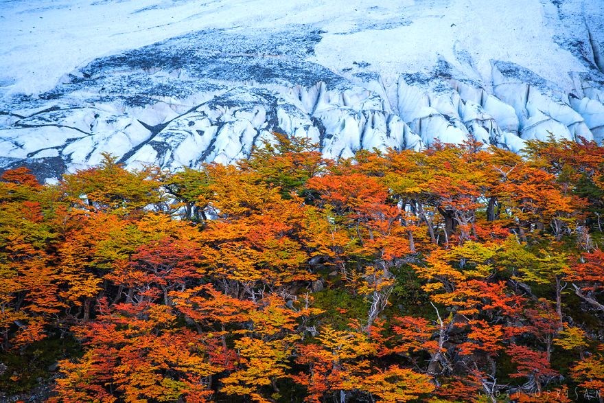 guney amerika gezilecek yerler, patagonya, patagonya fotografları, patagonya gezilecek yerler